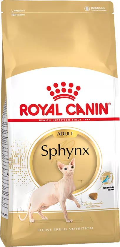 sphynxadult