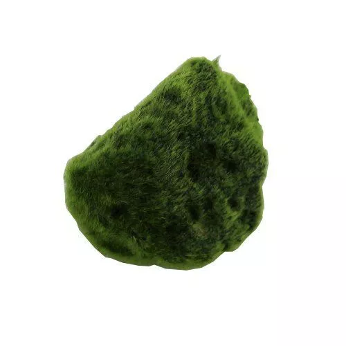 1643