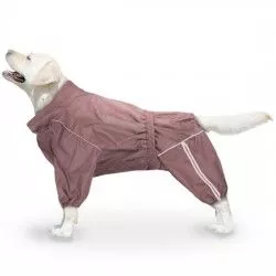 zootrend (1)