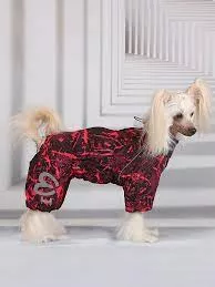 ForMyDog Комбинезон красно/черный  для девочек