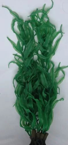 1600