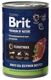 Без названия (13)