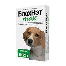 Без названия (11)