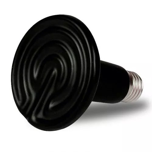nmp-nd-0225