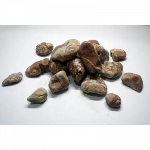 DECOTOP-Coral-Prirodnaya-korallovaya-galka-3-10-sm-6-kg4-l-800x800