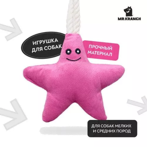 зве