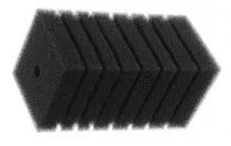 barbus_spc_3