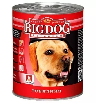 big-dog-850- (1)