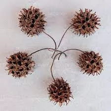 DECOTOP Storax balls Плоды амбрового дерева,3-4см,5шт