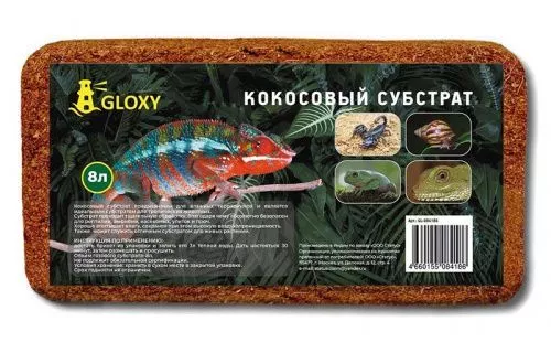 8 лит