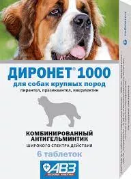 Без названия