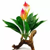 xhd9tc66j69fm2e9a57m50c2fwbx1pl8q.jpg.pagespeed.ic.XaiI3zueRB