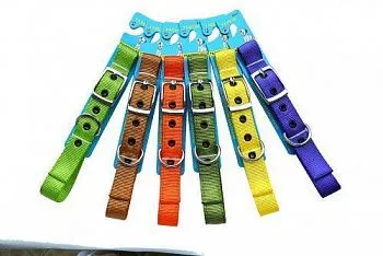 Collar&Lead Ошейник нейлон 20мм*46см