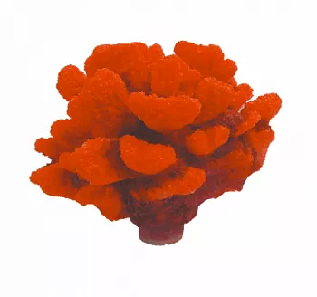 Грот Коралл красный жесткий 12*12*10см