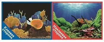 Фон аквариумный с одной самоклеящейся стороной Морские кораллы/Подводный мир 50*100см