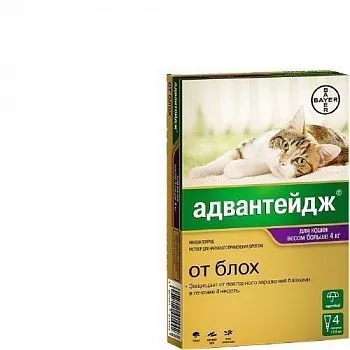 Адвантейдж для кошек больше 4 кг 1 пипетка