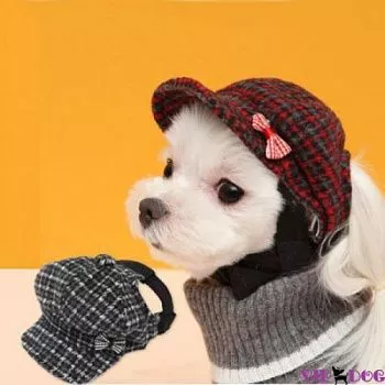 Кепка Buckingham L серая