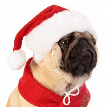PUPPIA Колпак для собак новогодний "Santa", красный, L M S XL