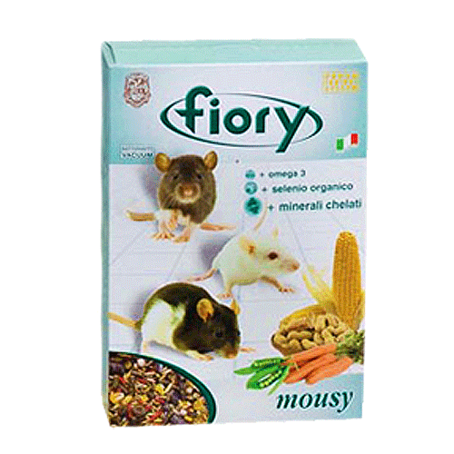Fiory_8_B