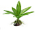 Искусственное растение  Эхинодорус оцелот 10см