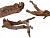 Коряга натуральная мангровая L 46-55см