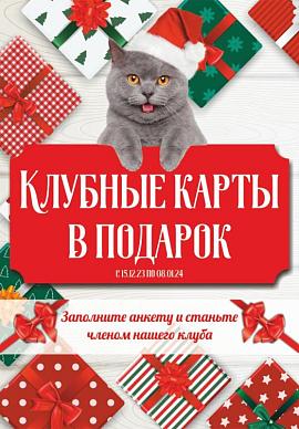 Клубные карты в подарок