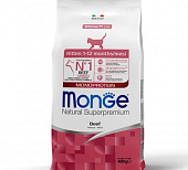 Monge Cat Monoprotein Kitten сухой корм для котят с говядиной