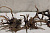 PRIME Коряга натуральная Черное дерево L 30-40 см