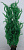 Растение морские водоросли, силикон 50см
