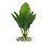 Искусственное растение Эхинодорус 20см
