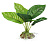 Искусственное растение Анубиас широколистный  10см
