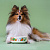 Mr.Kranch миска для собак и кошек из фарфора "Апельсины", 350мл, белая