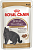 Royal Canin консервы для кошек Британских кусочки в  соусе 85гр