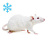 Крыса бегунок  замороженная  Аква меню 1шт